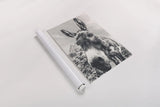 Donkey Pasture BW by Nathan Larson. shown as a rolled paper print. Available as archival giclee rolled canvas, fine art paper, or poster print. SKU 99953h.