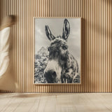 Donkey Pasture BW by Nathan Larson. shown as over sized large wall art. Available as an archival giclee rolled canvas, fine art paper, or poster print. SKU 99953h.