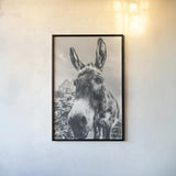 Donkey Pasture BW by Nathan Larson. shown as a paper print in a black flame. Available as a archival giclee rolled canvas, fine art paper, or poster print. SKU 99953h.