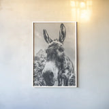 Donkey Pasture BW by Nathan Larson. shown as a paper print in a white frame. Available as a archival giclee rolled canvas, fine art paper, or poster print. SKU 99953h.