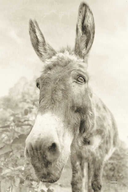 Donkey Pasture Sepia by Nathan Larson. SKU 99954h. Archival Giclee Fine art print for wall decor.