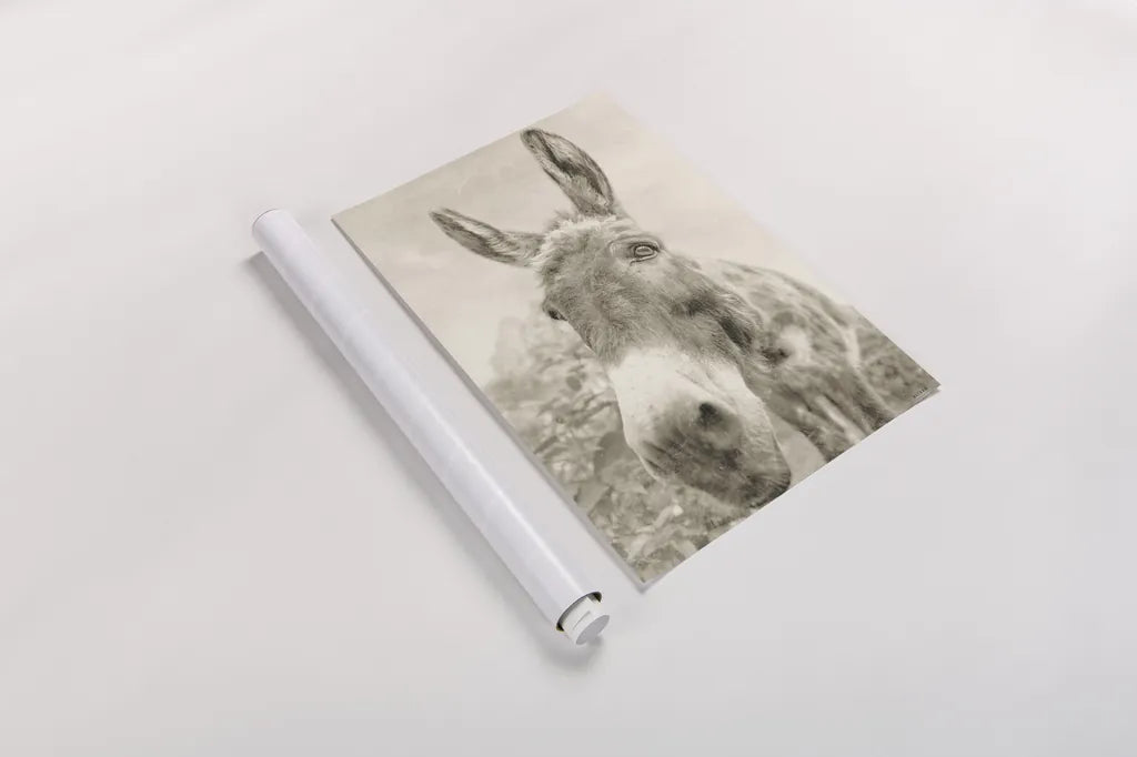 Donkey Pasture Sepia by Nathan Larson. shown as a rolled paper print. Available as archival giclee rolled canvas, fine art paper, or poster print. SKU 99954h.