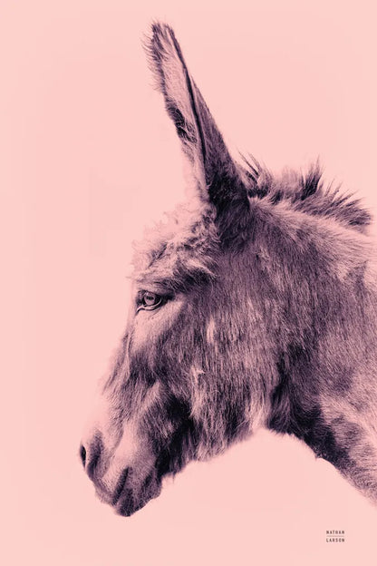 Donkey Portrait by Nathan Larson. SKU 99961h. Archival Giclee Fine art print for wall decor.