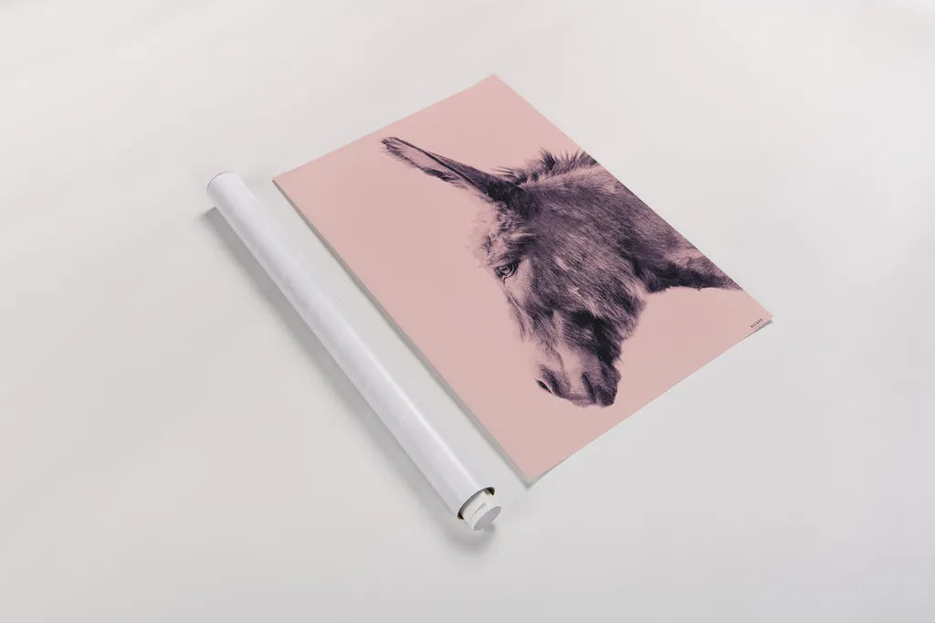Donkey Portrait by Nathan Larson. shown as a rolled paper print. Available as archival giclee rolled canvas, fine art paper, or poster print. SKU 99961h.