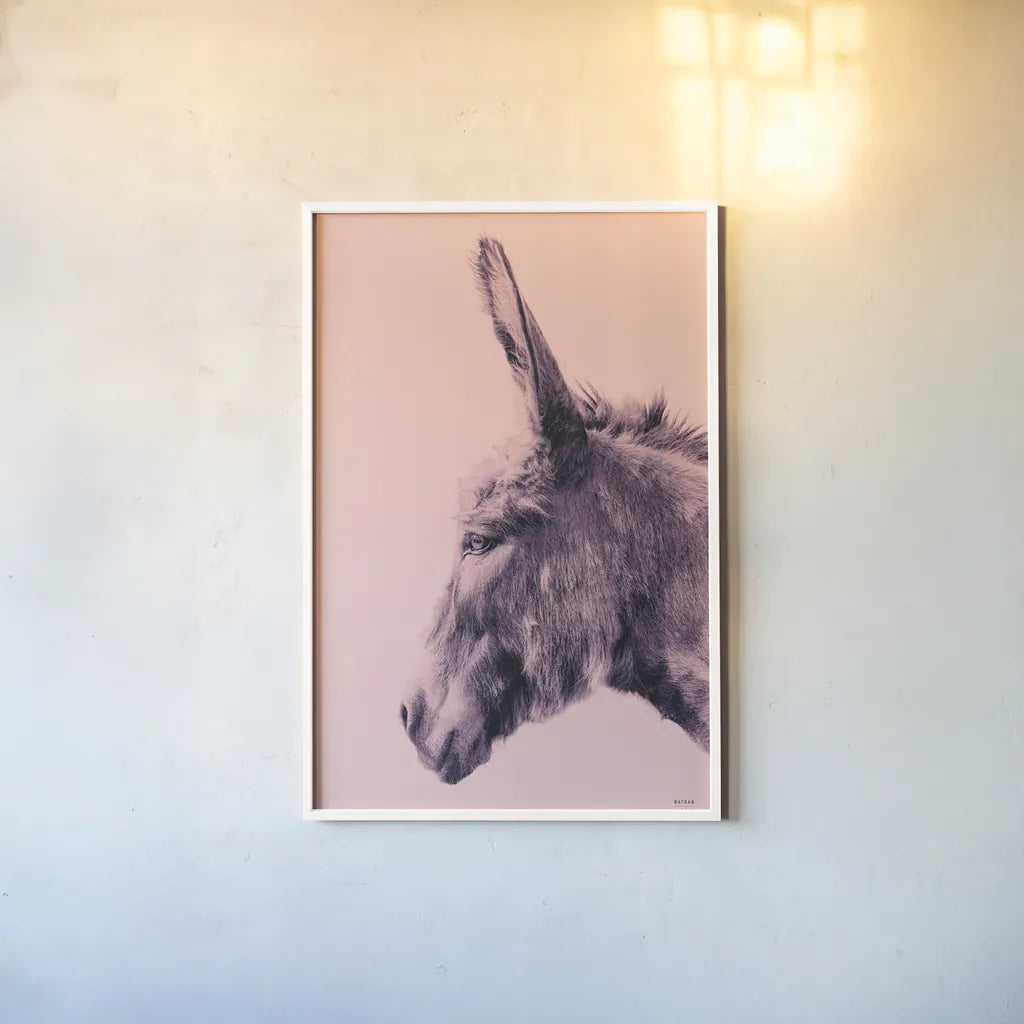 Donkey Portrait by Nathan Larson. shown as a paper print in a white frame. Available as a archival giclee rolled canvas, fine art paper, or poster print. SKU 99961h.