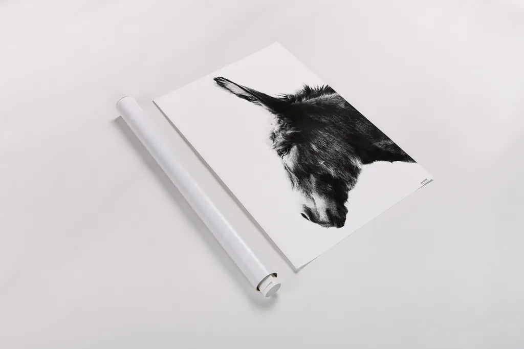 Donkey Portrait BW by Nathan Larson. shown as a rolled paper print. Available as archival giclee rolled canvas, fine art paper, or poster print. SKU 99963h.