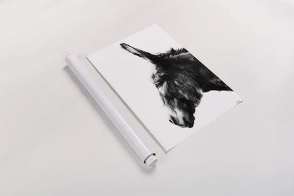 Donkey Portrait BW by Nathan Larson. shown as a rolled paper print. Available as archival giclee rolled canvas, fine art paper, or poster print. SKU 99963h.