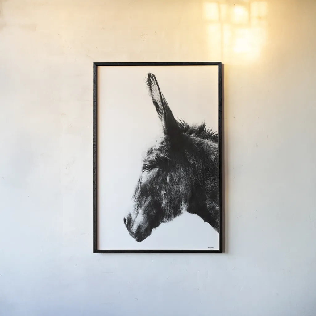 Donkey Portrait BW by Nathan Larson. shown as a paper print in a black flame. Available as a archival giclee rolled canvas, fine art paper, or poster print. SKU 99963h.