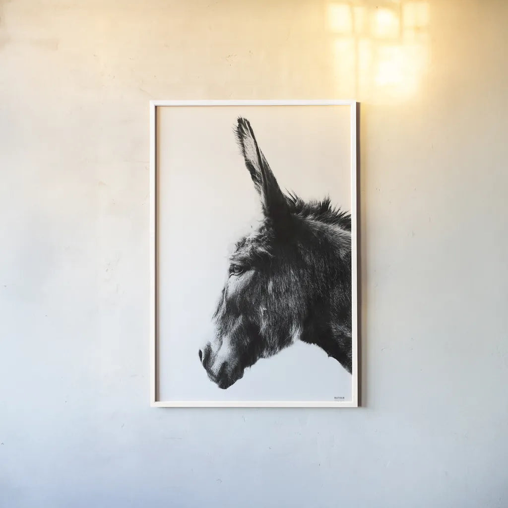 Donkey Portrait BW by Nathan Larson. shown as a paper print in a white frame. Available as a archival giclee rolled canvas, fine art paper, or poster print. SKU 99963h.