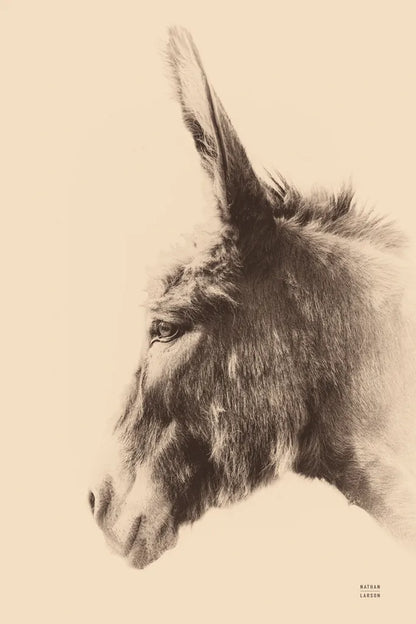 Donkey Portrait Sepia by Nathan Larson. SKU 99962h. Archival Giclee Fine art print for wall decor.