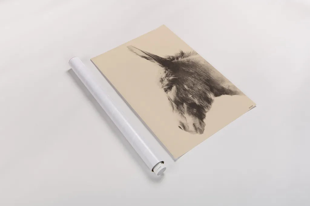 Donkey Portrait Sepia by Nathan Larson. shown as a rolled paper print. Available as archival giclee rolled canvas, fine art paper, or poster print. SKU 99962h.