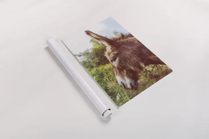 Donkey Profile by Nathan Larson. shown as a rolled paper print. Available as archival giclee rolled canvas, fine art paper, or poster print. SKU 99959h.