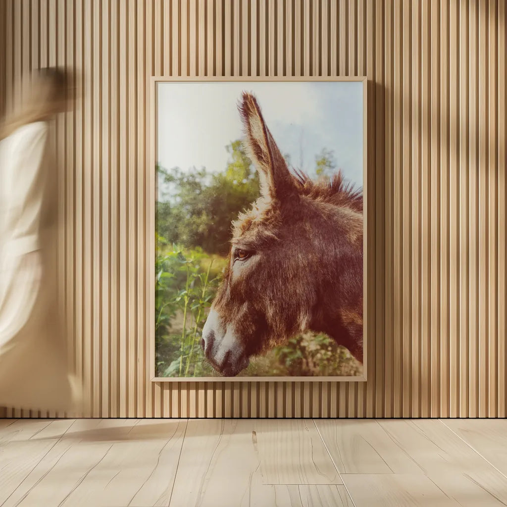 Donkey Profile by Nathan Larson. shown as over sized large wall art. Available as an archival giclee rolled canvas, fine art paper, or poster print. SKU 99959h.