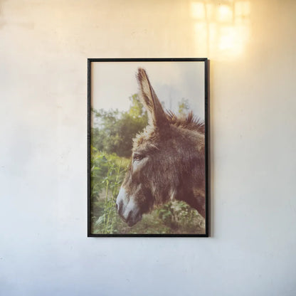 Donkey Profile by Nathan Larson. shown as a paper print in a black flame. Available as a archival giclee rolled canvas, fine art paper, or poster print. SKU 99959h.