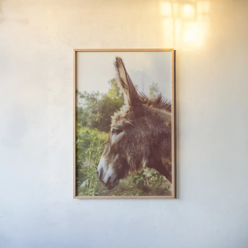Donkey Profile by Nathan Larson. shown as a paper print in a natural frame. Available as a archival giclee rolled canvas, fine art paper, or poster print. SKU 99959h.