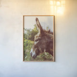 Donkey Profile by Nathan Larson. shown as a paper print in a natural frame. Available as a archival giclee rolled canvas, fine art paper, or poster print. SKU 99959h.