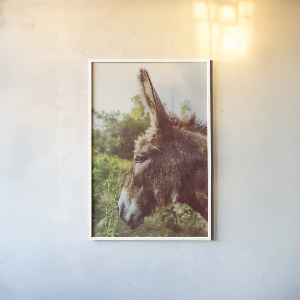 Donkey Profile by Nathan Larson. shown as a paper print in a white frame. Available as a archival giclee rolled canvas, fine art paper, or poster print. SKU 99959h.