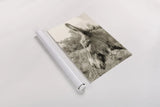Donkey Profile Sepia by Nathan Larson. shown as a rolled paper print. Available as archival giclee rolled canvas, fine art paper, or poster print. SKU 99960h.