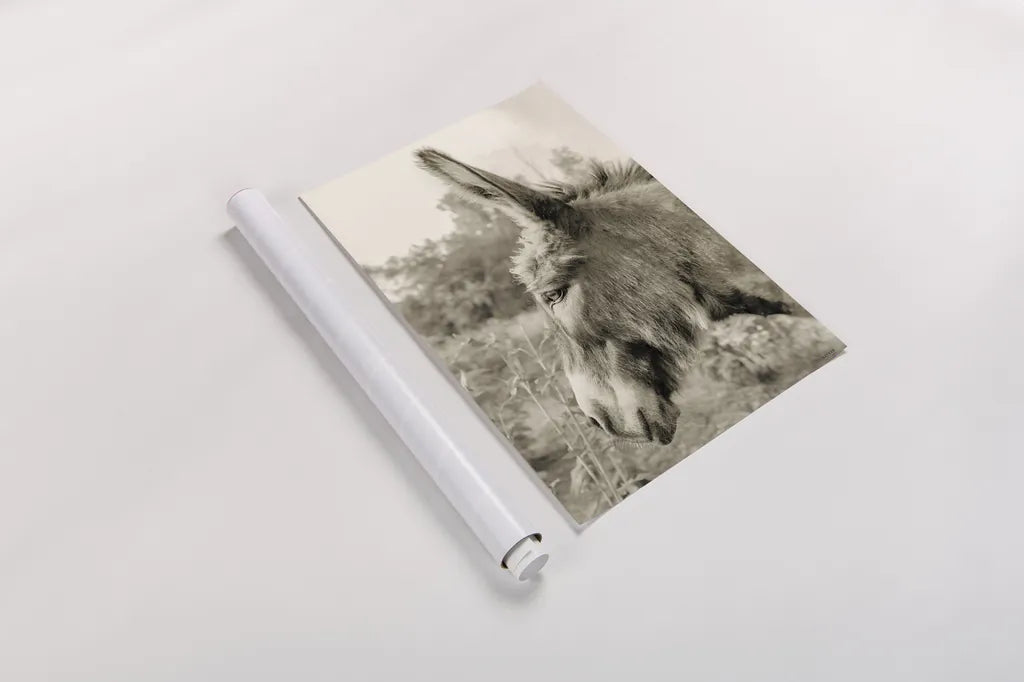 Donkey Profile Sepia by Nathan Larson. shown as a rolled paper print. Available as archival giclee rolled canvas, fine art paper, or poster print. SKU 99960h.