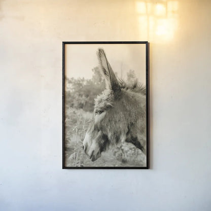Donkey Profile Sepia by Nathan Larson. shown as a paper print in a black flame. Available as a archival giclee rolled canvas, fine art paper, or poster print. SKU 99960h.
