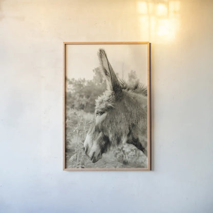 Donkey Profile Sepia by Nathan Larson. shown as a paper print in a natural frame. Available as a archival giclee rolled canvas, fine art paper, or poster print. SKU 99960h.