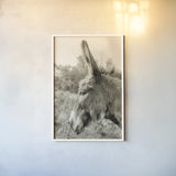 Donkey Profile Sepia by Nathan Larson. shown as a paper print in a white frame. Available as a archival giclee rolled canvas, fine art paper, or poster print. SKU 99960h.