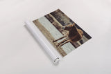 Donkey Summer I by Nathan Larson. shown as a rolled paper print. Available as archival giclee rolled canvas, fine art paper, or poster print. SKU 99291i.