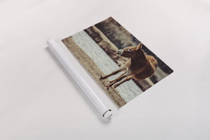 Donkey Summer I by Nathan Larson. shown as a rolled paper print. Available as archival giclee rolled canvas, fine art paper, or poster print. SKU 99291i.