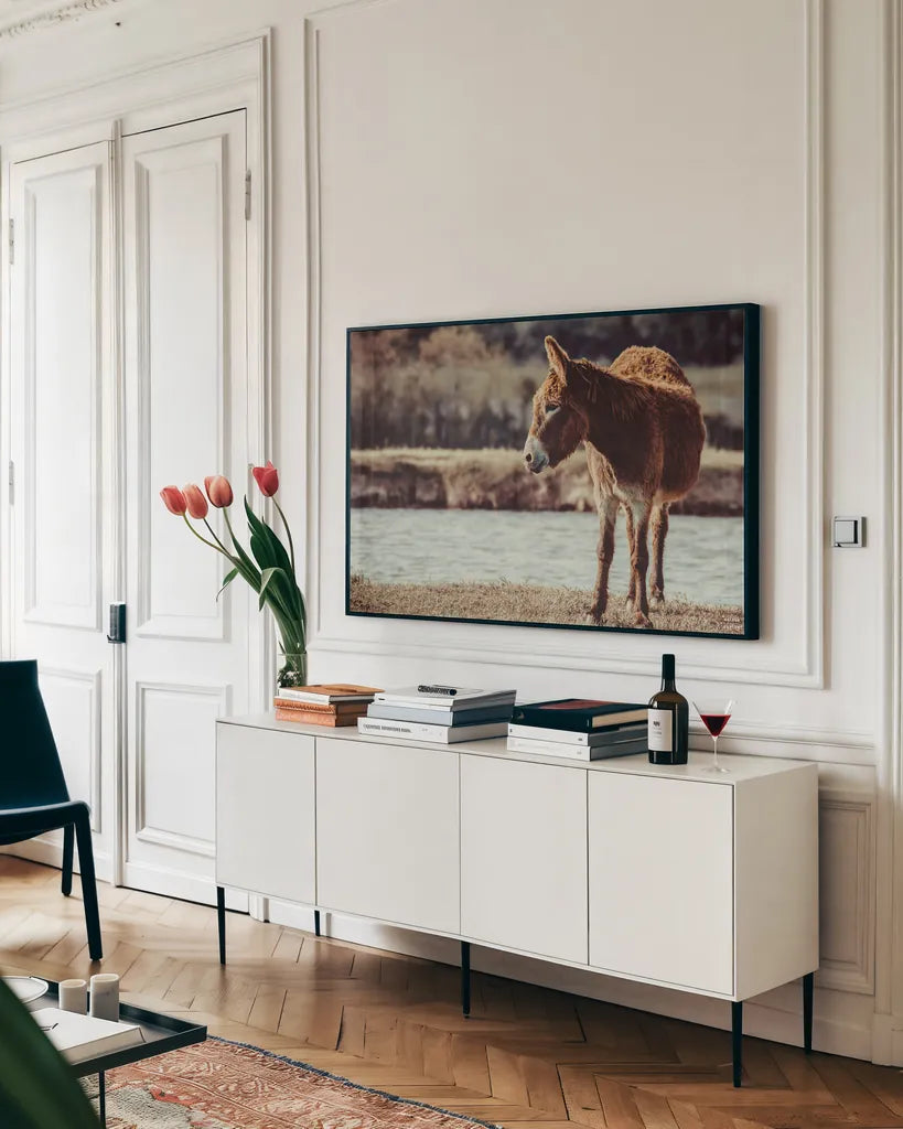 Donkey Summer I by Nathan Larson. shown as a framed stretched canvas in a living room above a console. Available as a archival giclee rolled canvas, fine art paper, or poster print. SKU 99291i.