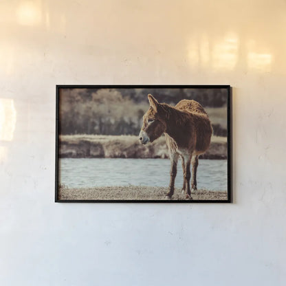 Donkey Summer I by Nathan Larson. shown as a paper print in a black flame. Available as a archival giclee rolled canvas, fine art paper, or poster print. SKU 99291i.