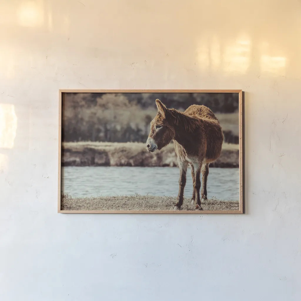 Donkey Summer I by Nathan Larson. shown as a paper print in a natural frame. Available as a archival giclee rolled canvas, fine art paper, or poster print. SKU 99291i.