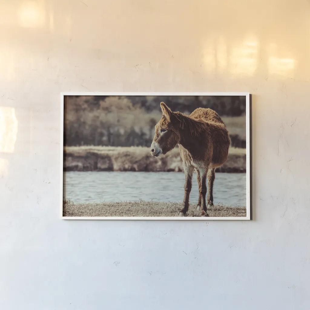 Donkey Summer I by Nathan Larson. shown as a paper print in a white frame. Available as a archival giclee rolled canvas, fine art paper, or poster print. SKU 99291i.