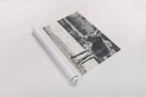 Donkey Summer II BW by Nathan Larson. shown as a rolled paper print. Available as archival giclee rolled canvas, fine art paper, or poster print. SKU 99292i.