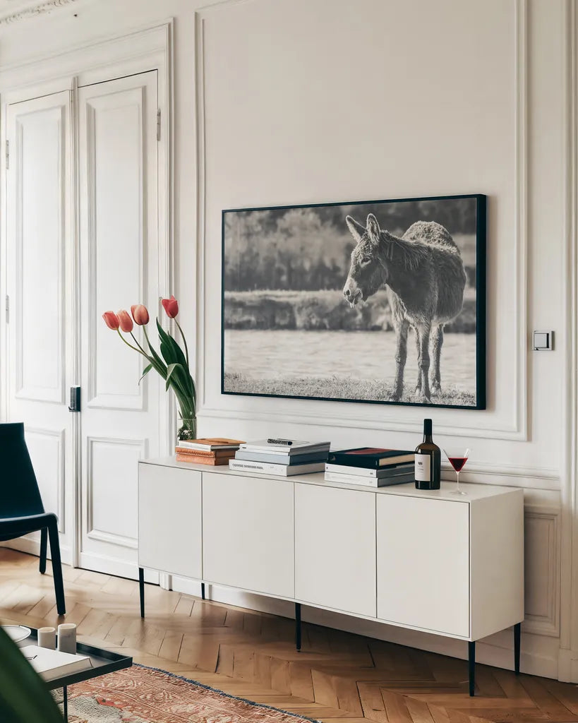 Donkey Summer II BW by Nathan Larson. shown as a framed stretched canvas in a living room above a console. Available as a archival giclee rolled canvas, fine art paper, or poster print. SKU 99292i.