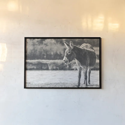 Donkey Summer II BW by Nathan Larson. shown as a paper print in a black flame. Available as a archival giclee rolled canvas, fine art paper, or poster print. SKU 99292i.