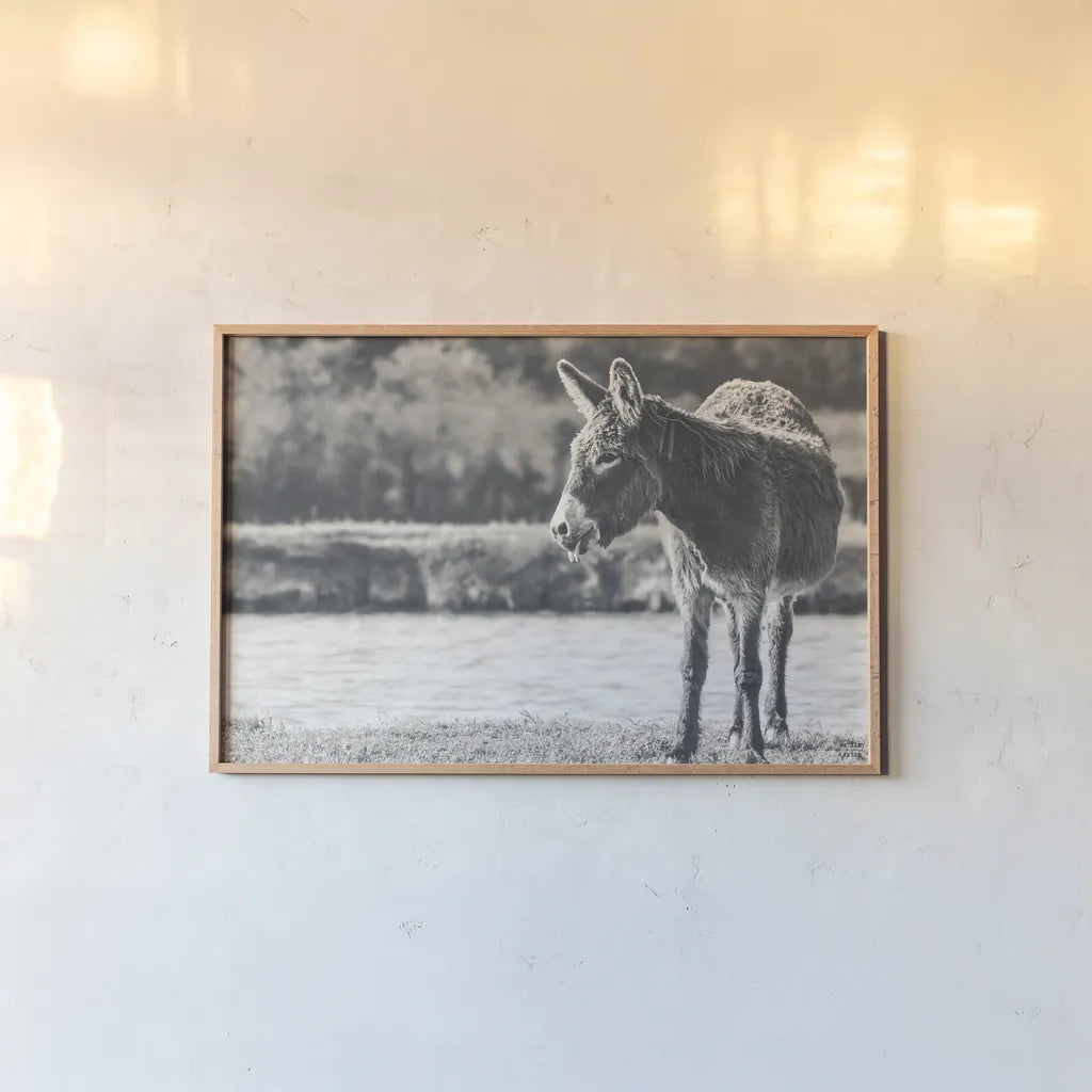Donkey Summer II BW by Nathan Larson. shown as a paper print in a natural frame. Available as a archival giclee rolled canvas, fine art paper, or poster print. SKU 99292i.