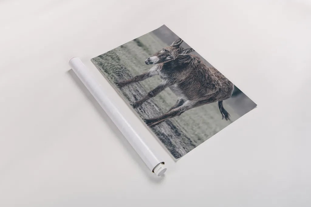 Donkey Summer III by Nathan Larson. shown as a rolled paper print. Available as archival giclee rolled canvas, fine art paper, or poster print. SKU 99293i.