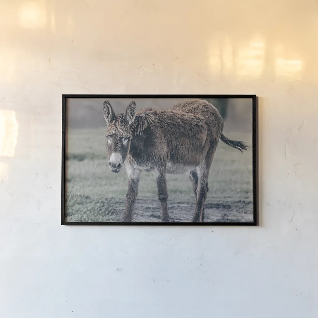 Donkey Summer III by Nathan Larson. shown as a paper print in a black flame. Available as a archival giclee rolled canvas, fine art paper, or poster print. SKU 99293i.