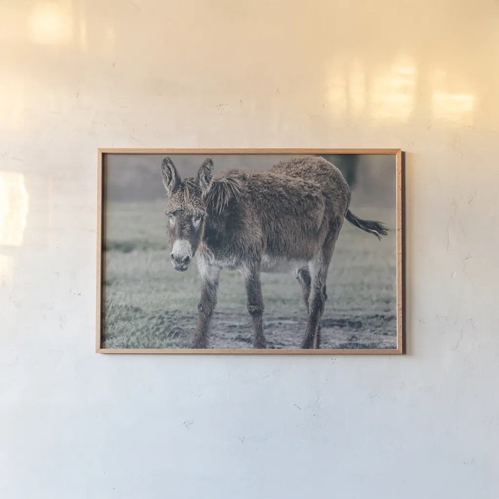 Donkey Summer III by Nathan Larson. shown as a paper print in a natural frame. Available as a archival giclee rolled canvas, fine art paper, or poster print. SKU 99293i.
