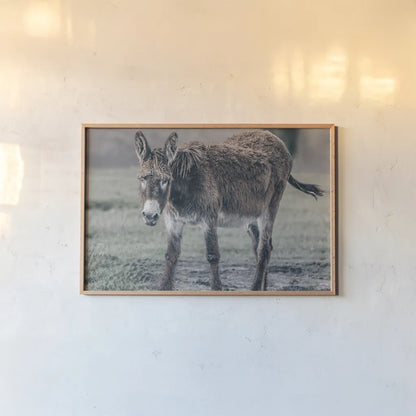Donkey Summer III by Nathan Larson. shown as a paper print in a natural frame. Available as a archival giclee rolled canvas, fine art paper, or poster print. SKU 99293i.