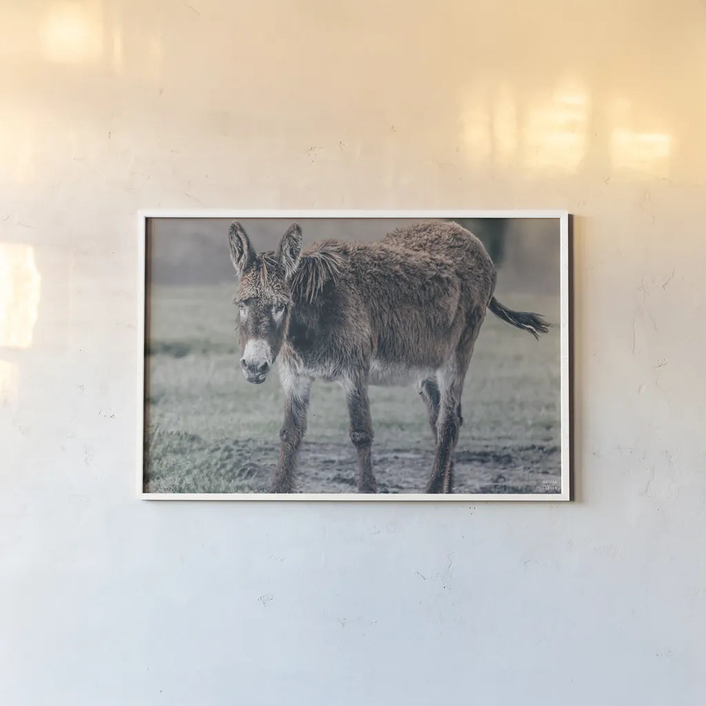 Donkey Summer III by Nathan Larson. shown as a paper print in a white frame. Available as a archival giclee rolled canvas, fine art paper, or poster print. SKU 99293i.
