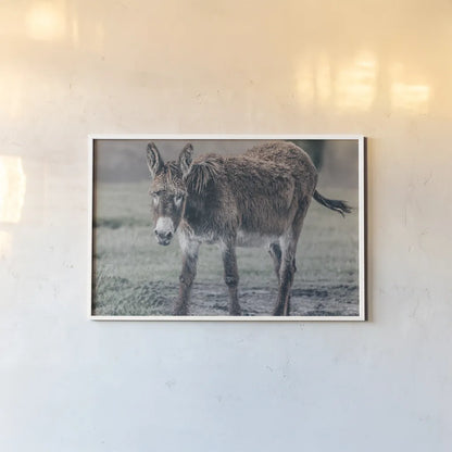 Donkey Summer III by Nathan Larson. shown as a paper print in a white frame. Available as a archival giclee rolled canvas, fine art paper, or poster print. SKU 99293i.