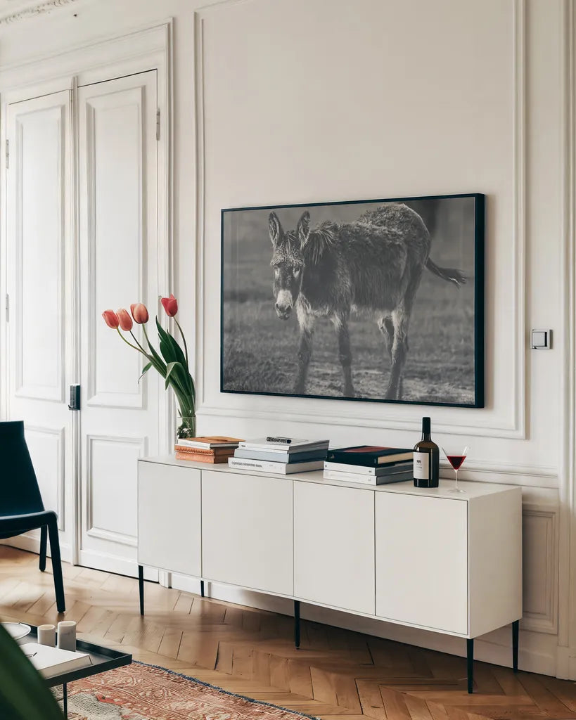 Donkey Summer III BW by Nathan Larson. shown as a framed stretched canvas in a living room above a console. Available as a archival giclee rolled canvas, fine art paper, or poster print. SKU 99294i.