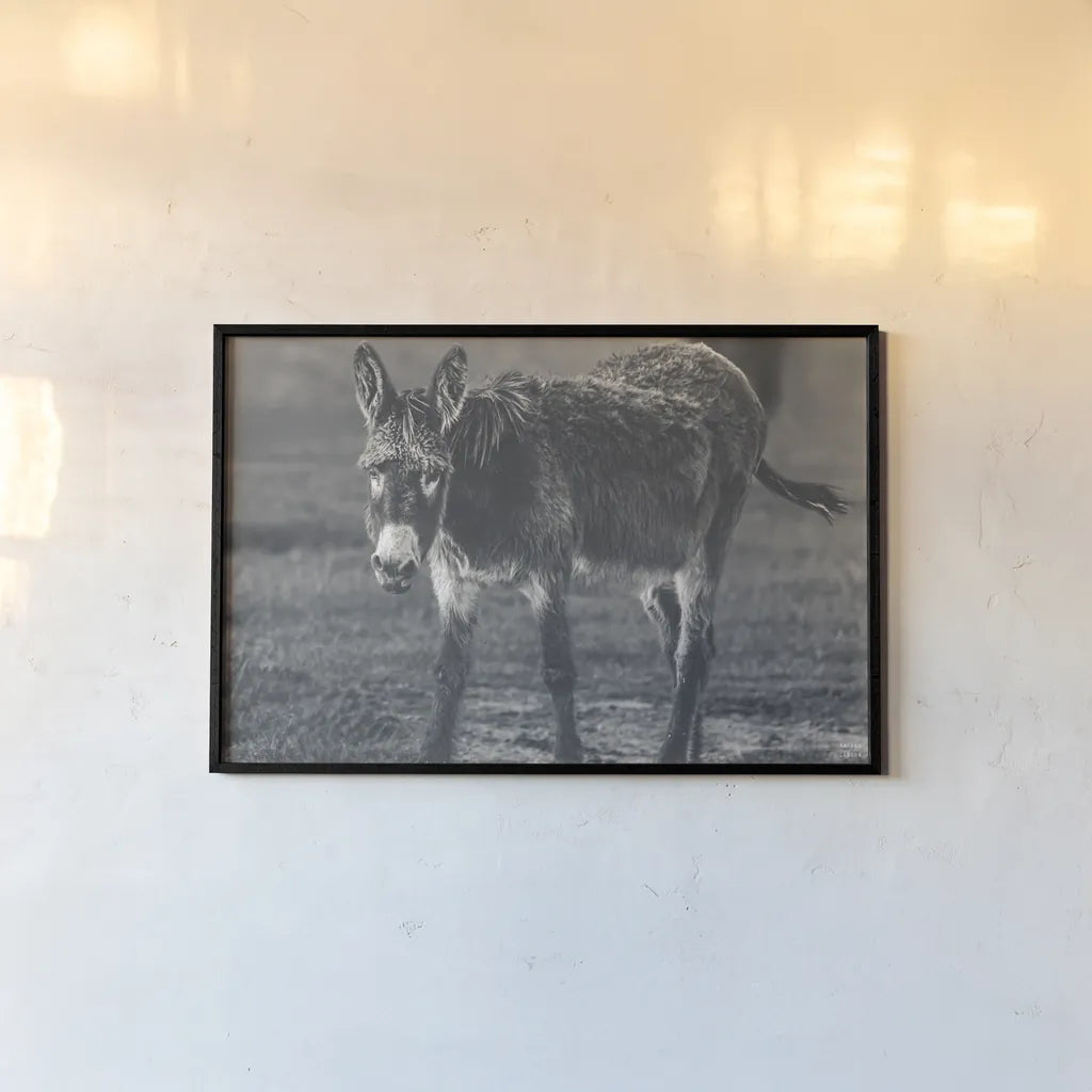 Donkey Summer III BW by Nathan Larson. shown as a paper print in a black flame. Available as a archival giclee rolled canvas, fine art paper, or poster print. SKU 99294i.
