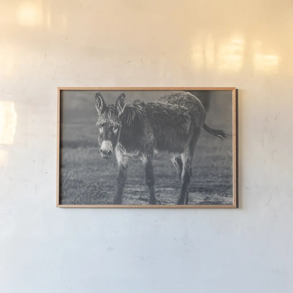 Donkey Summer III BW by Nathan Larson. shown as a paper print in a natural frame. Available as a archival giclee rolled canvas, fine art paper, or poster print. SKU 99294i.