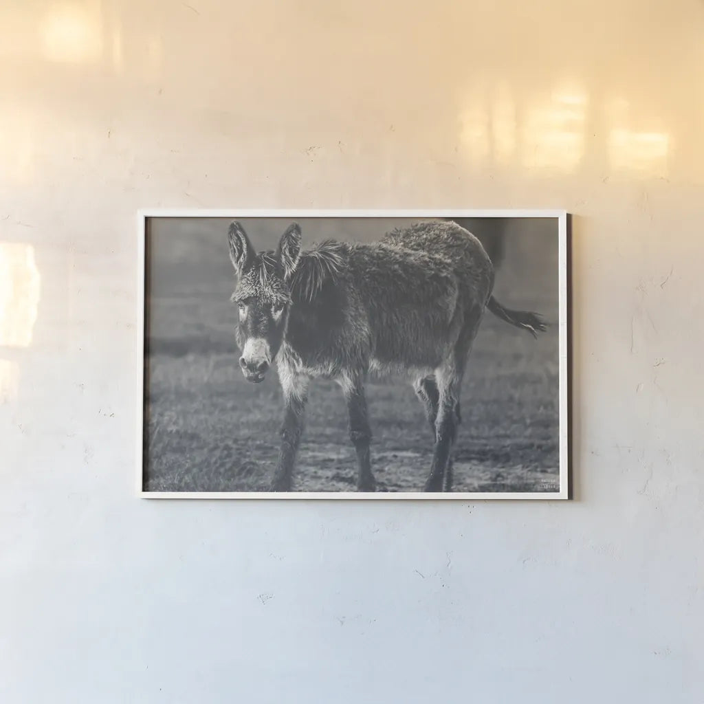 Donkey Summer III BW by Nathan Larson. shown as a paper print in a white frame. Available as a archival giclee rolled canvas, fine art paper, or poster print. SKU 99294i.