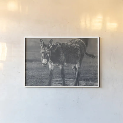 Donkey Summer III BW by Nathan Larson. shown as a paper print in a white frame. Available as a archival giclee rolled canvas, fine art paper, or poster print. SKU 99294i.