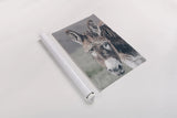 Donkey Summer Portrait by Nathan Larson. shown as a rolled paper print. Available as archival giclee rolled canvas, fine art paper, or poster print. SKU 99286h.