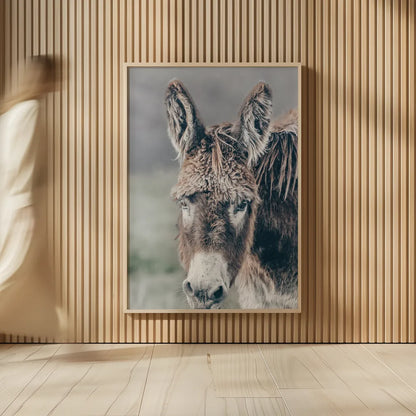 Donkey Summer Portrait by Nathan Larson. shown as over sized large wall art. Available as an archival giclee rolled canvas, fine art paper, or poster print. SKU 99286h.