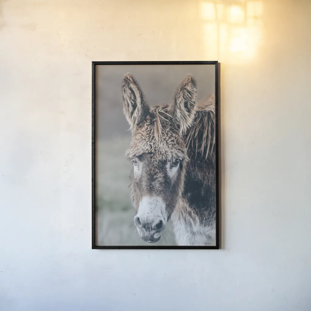 Donkey Summer Portrait by Nathan Larson. shown as a paper print in a black flame. Available as a archival giclee rolled canvas, fine art paper, or poster print. SKU 99286h.